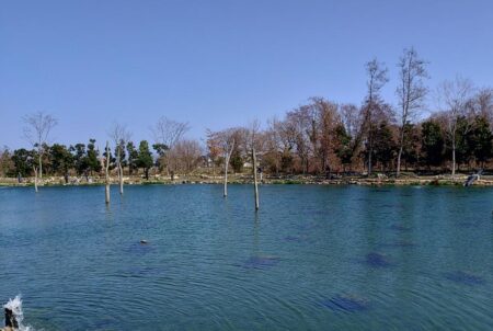 １０匹／ｈ超　～フィッシングパーク高島の泉～